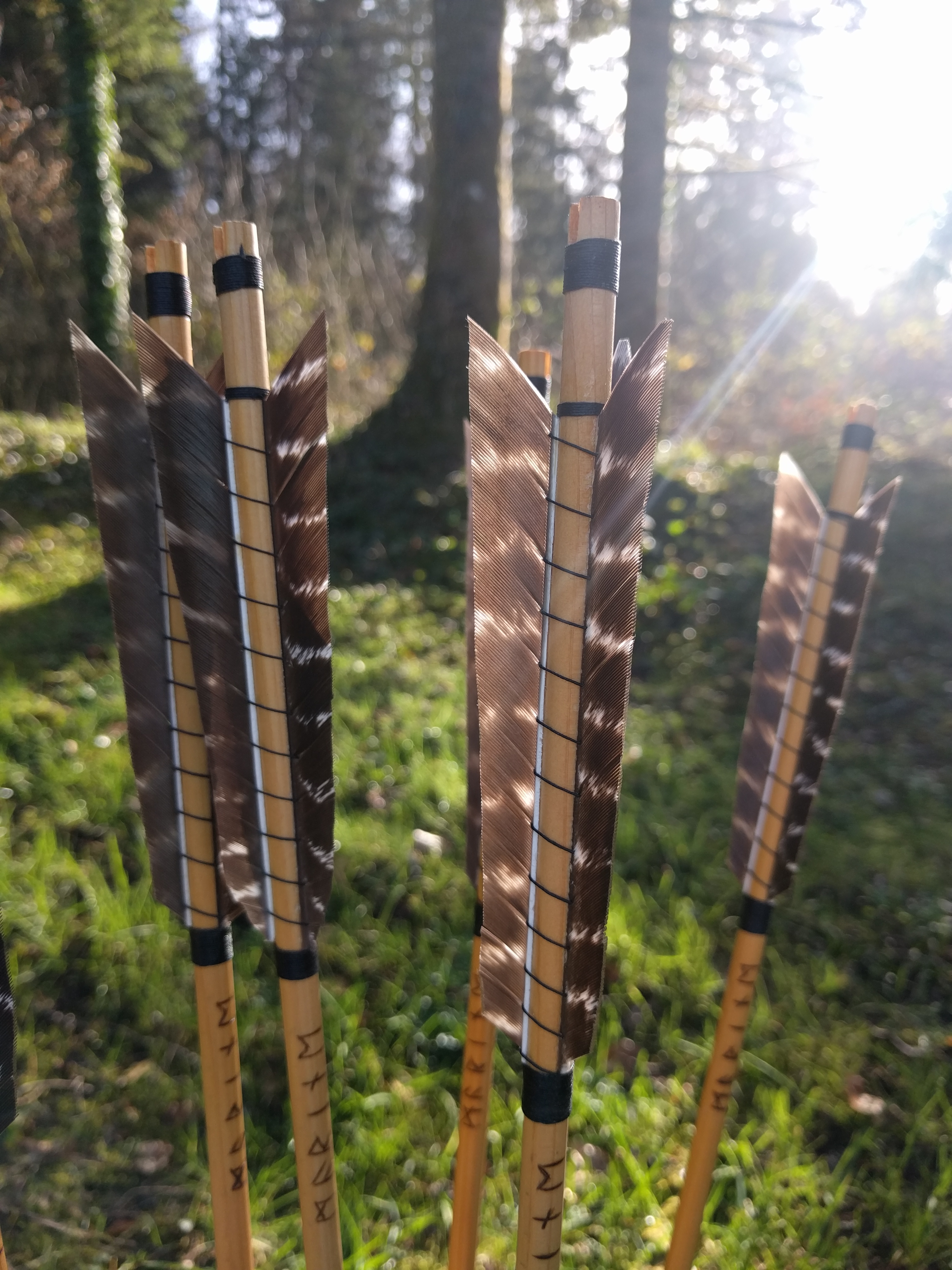 Arc et flèches en bois - Artisan du Jura