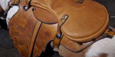 selle pour lutin sur Basset hound -vue2