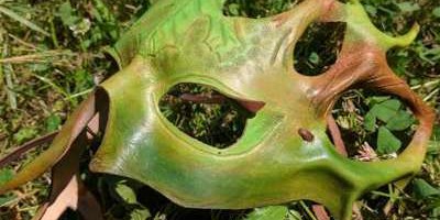 masque sylvain