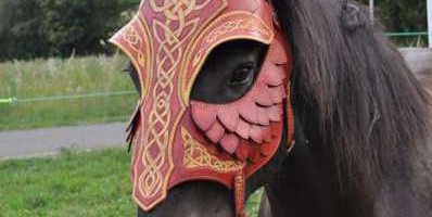 masque pour cheval